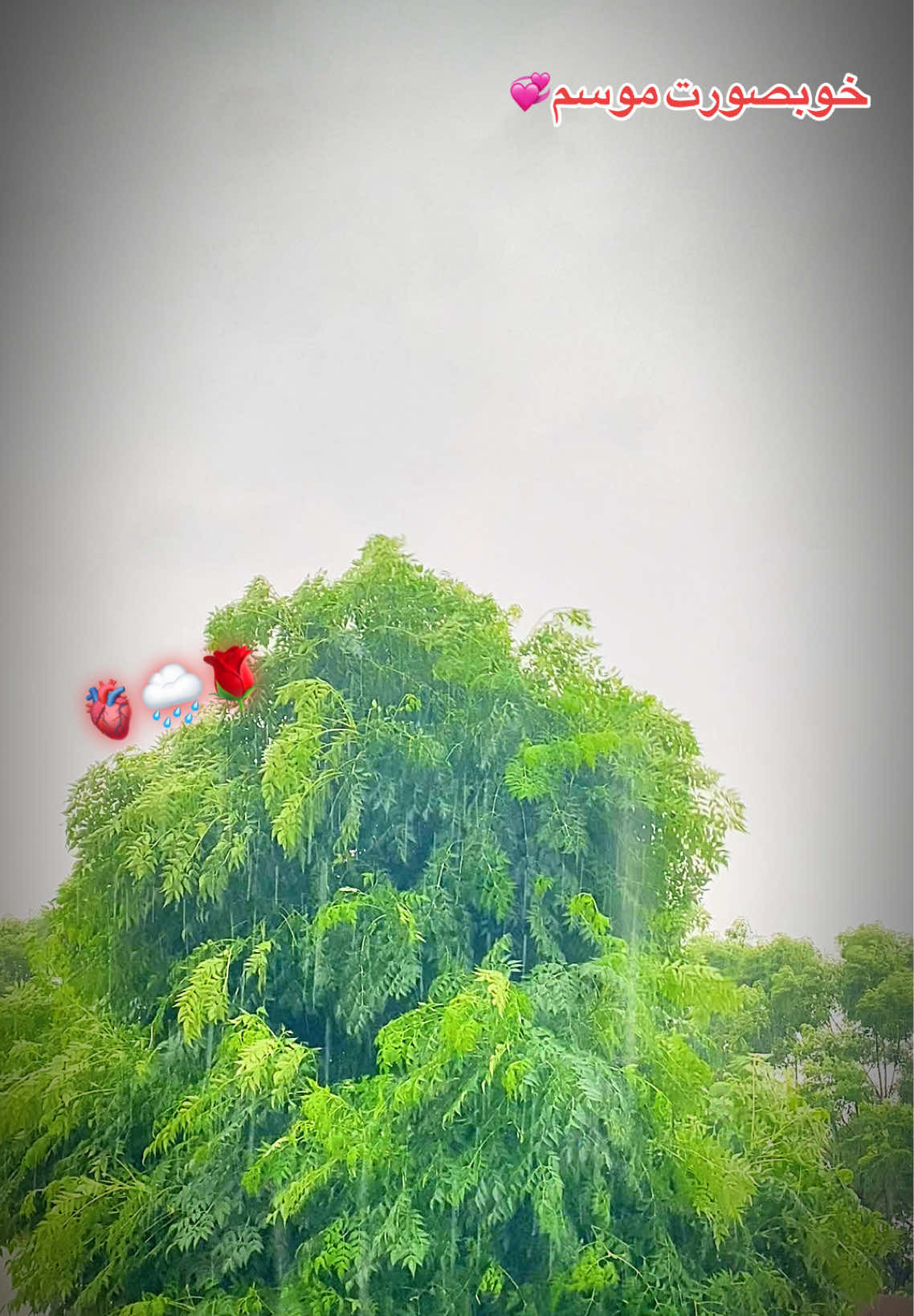 @ᒎᗩᗩᗪᎥ ᑕᕼᗩᛕᗯᗩᒪ