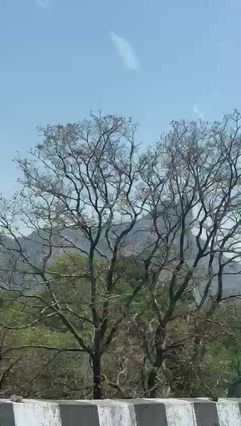 @Sabitra Neupane