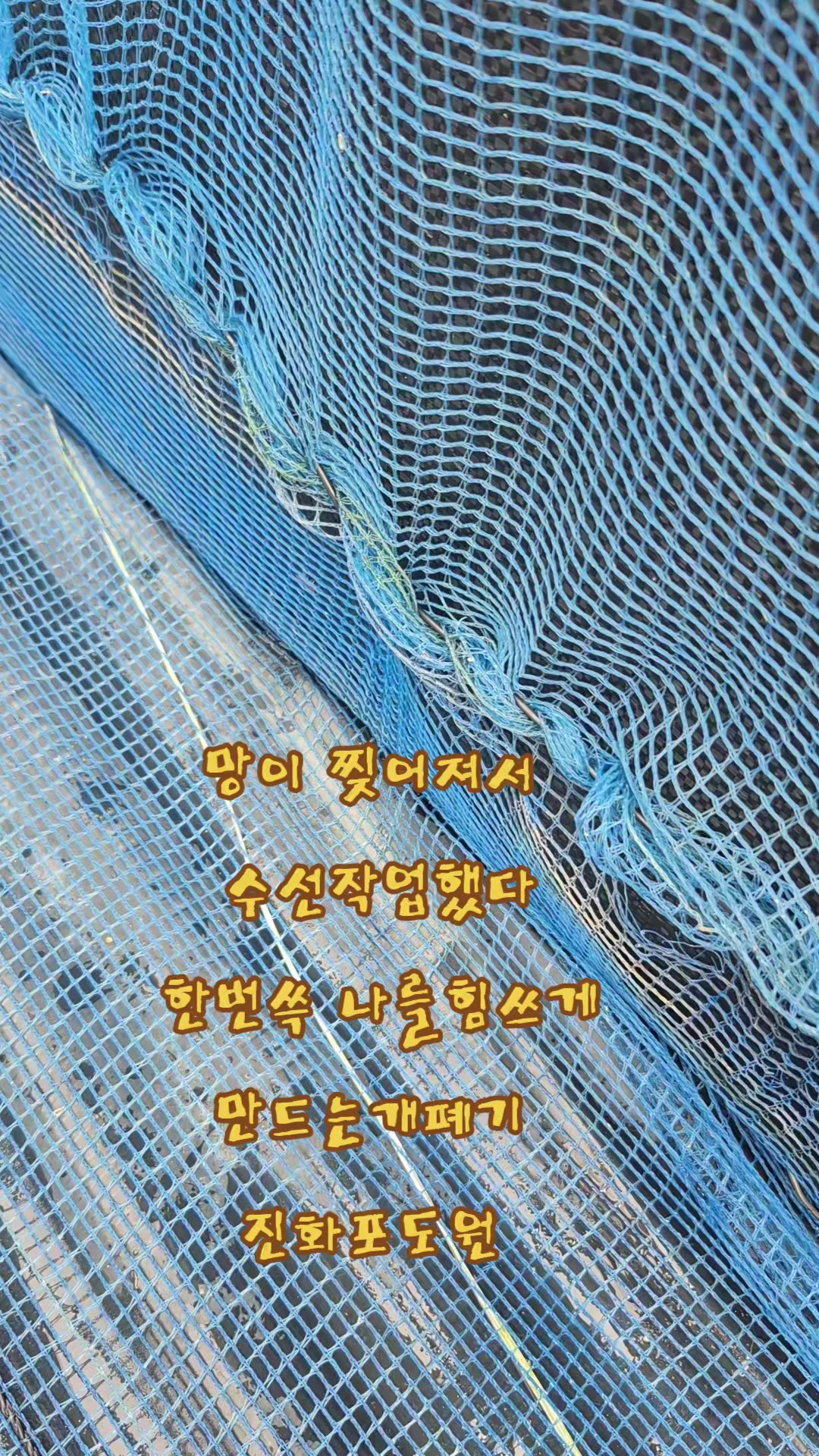 @진화포도원