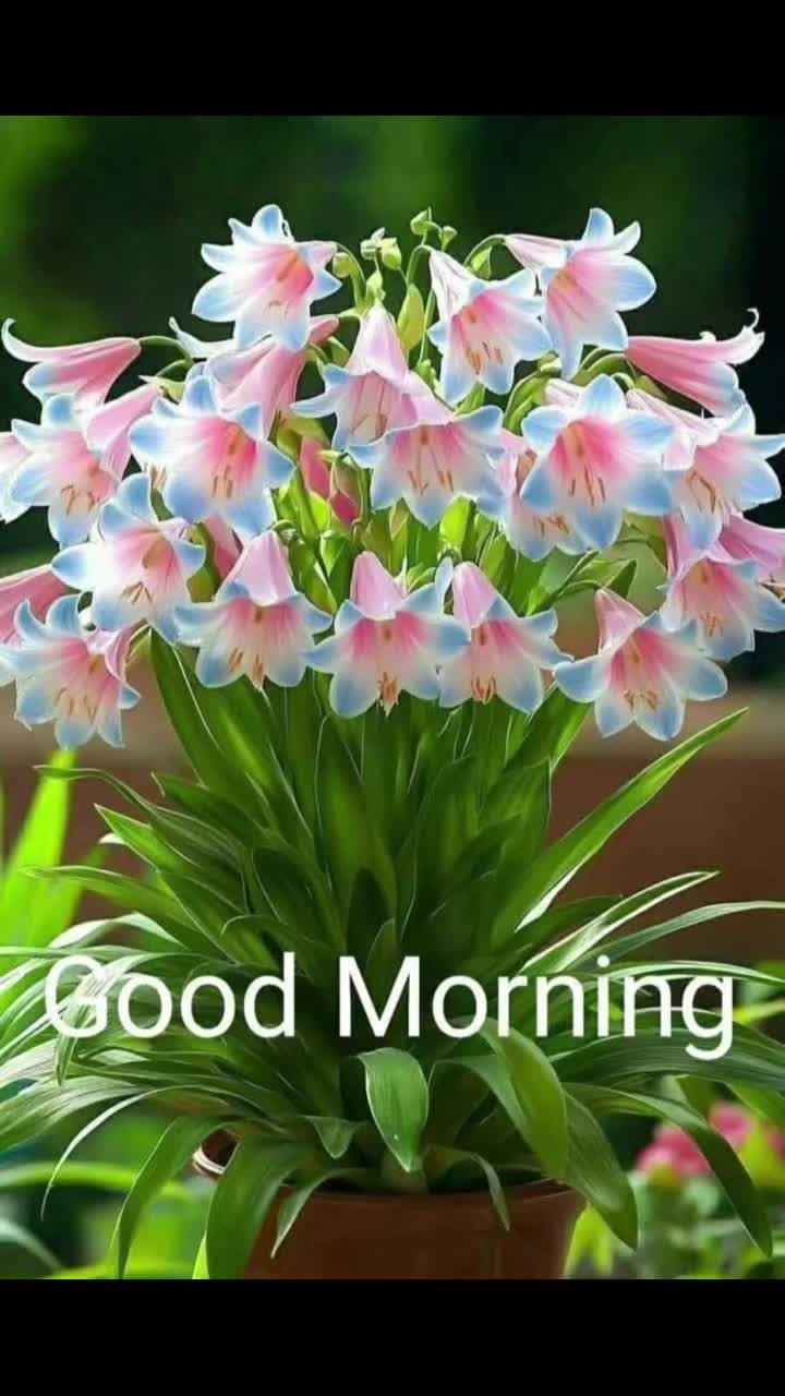 @Sai Meena