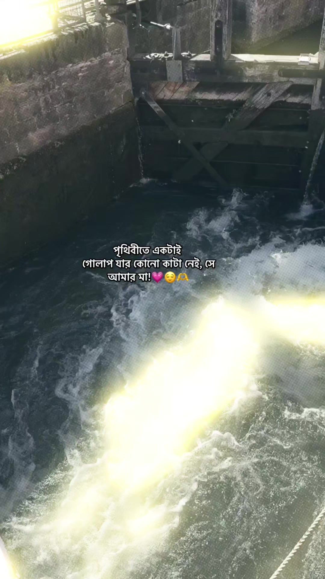 @𝗥𝗮𝗶𝗵𝗮𝗻 𝗕𝗵𝗮𝗶𝘆𝗮𝗮'✨