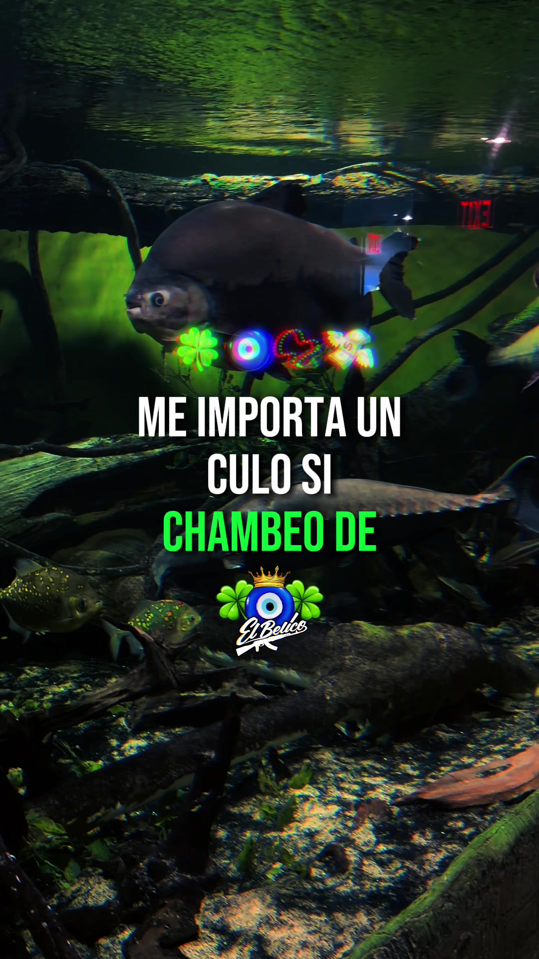 @Yaeloo23