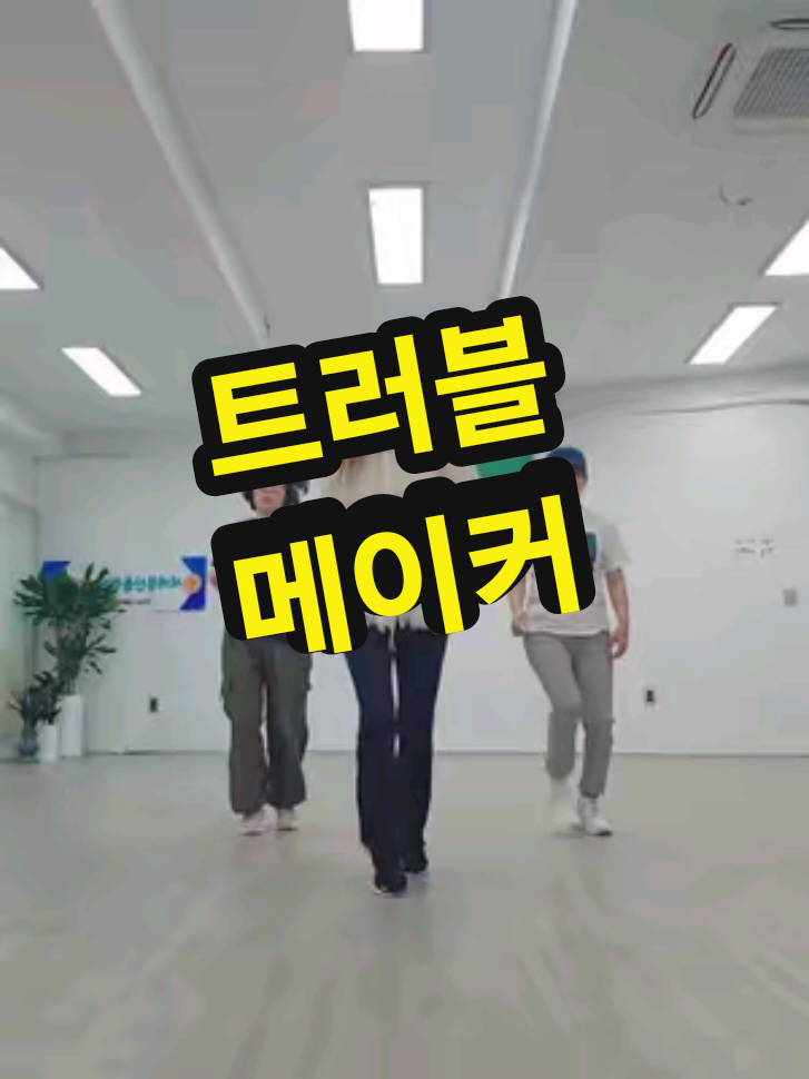 @틱톡왕비
