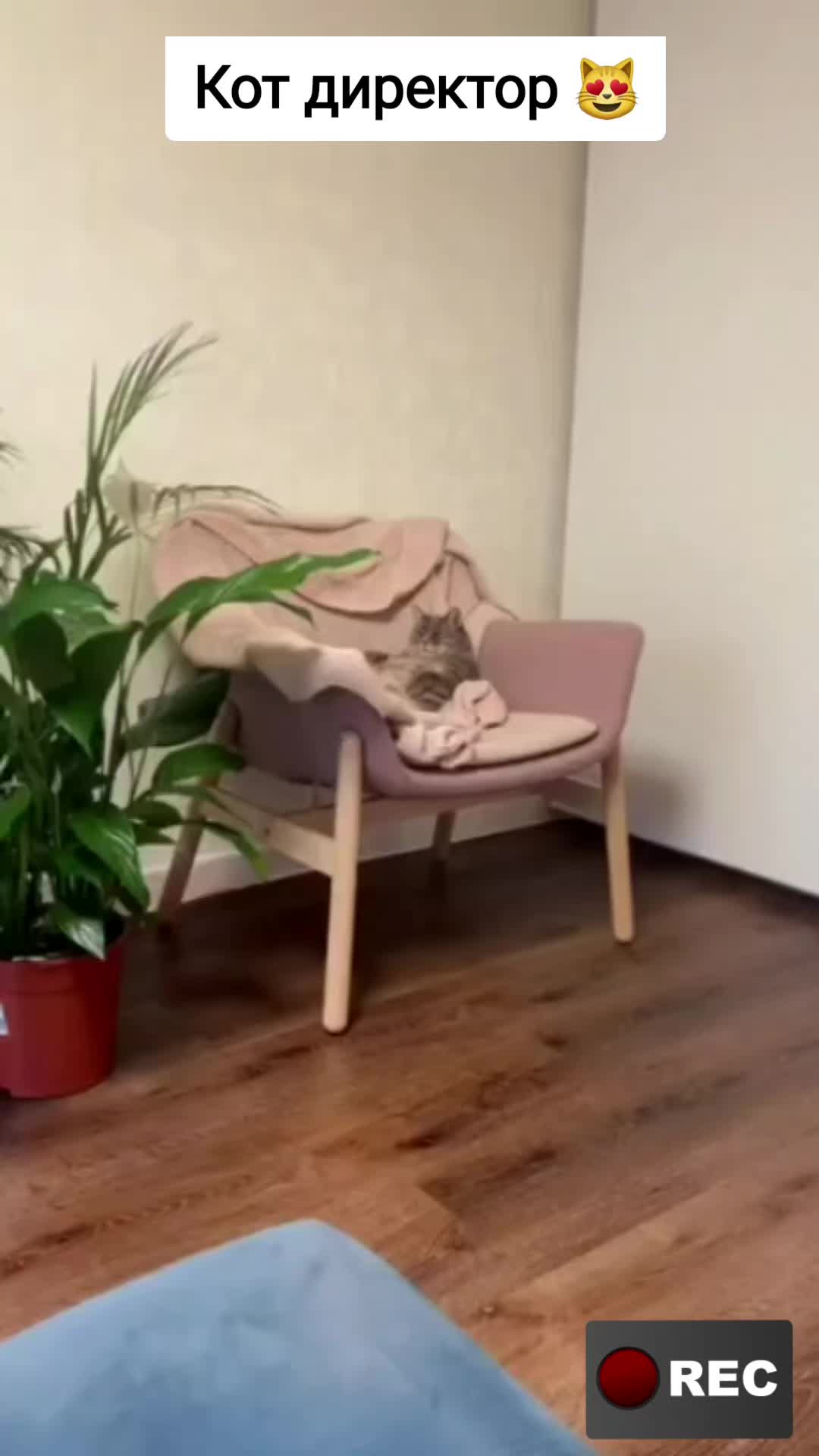 @Лариса