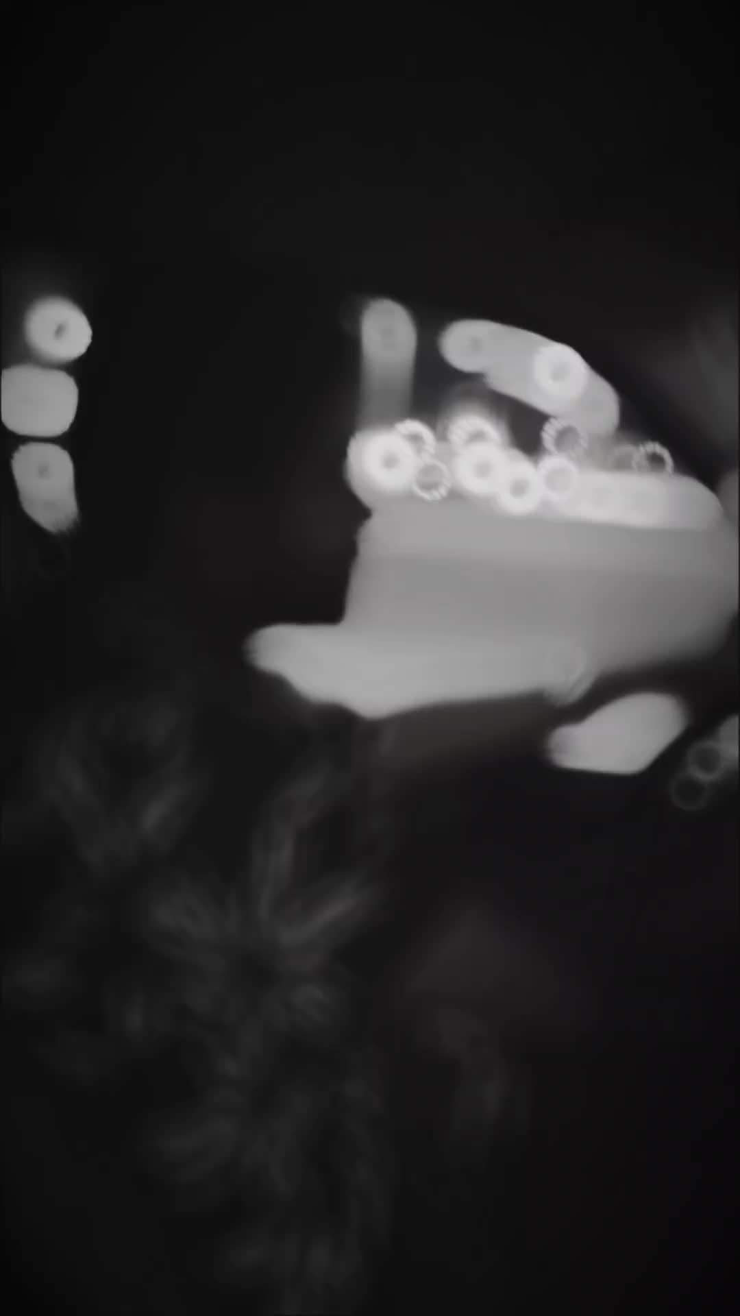 @shamnasshakjm