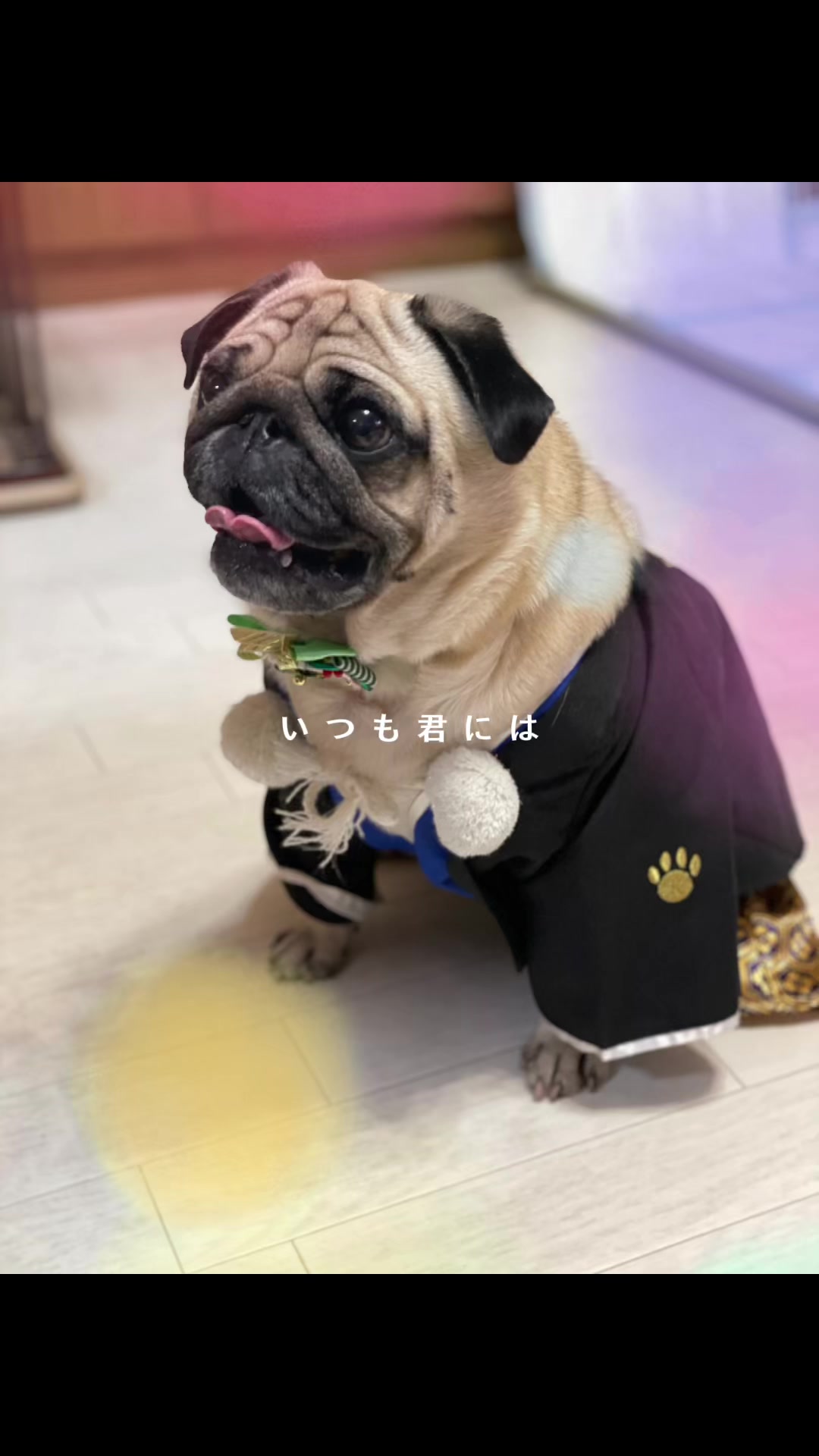 @こはるとぷーすけ🍀