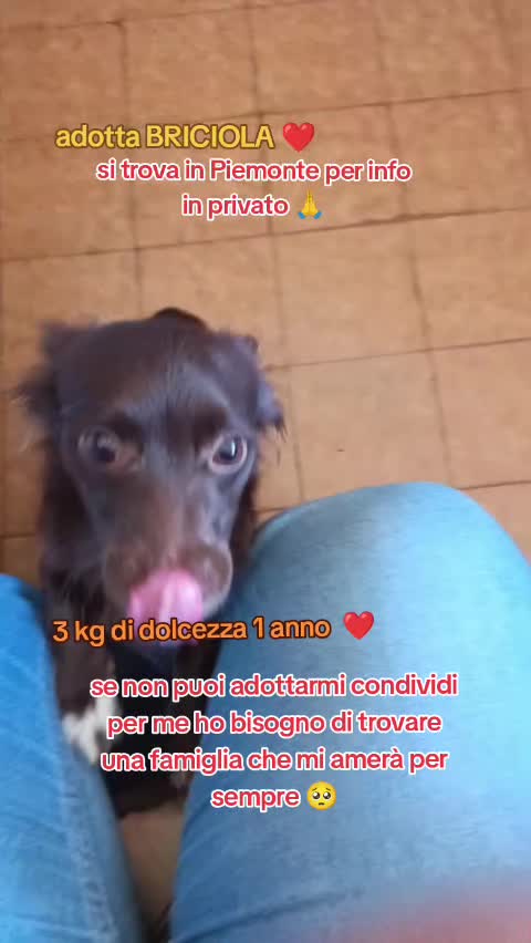 @KIRA❤️LEYLA💙