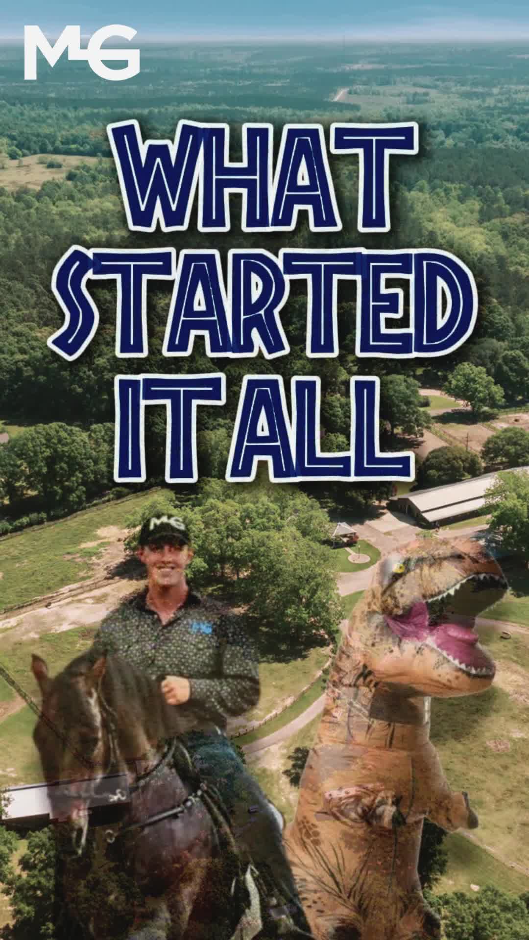 @Horse Help