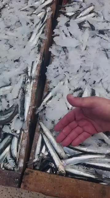 @Fouad p&ecirc;cheur
