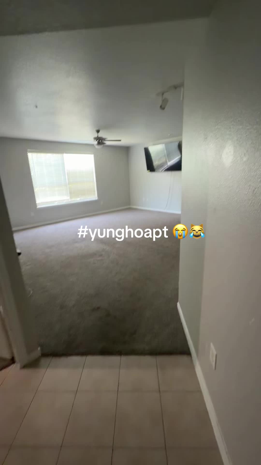 @tmoneyho