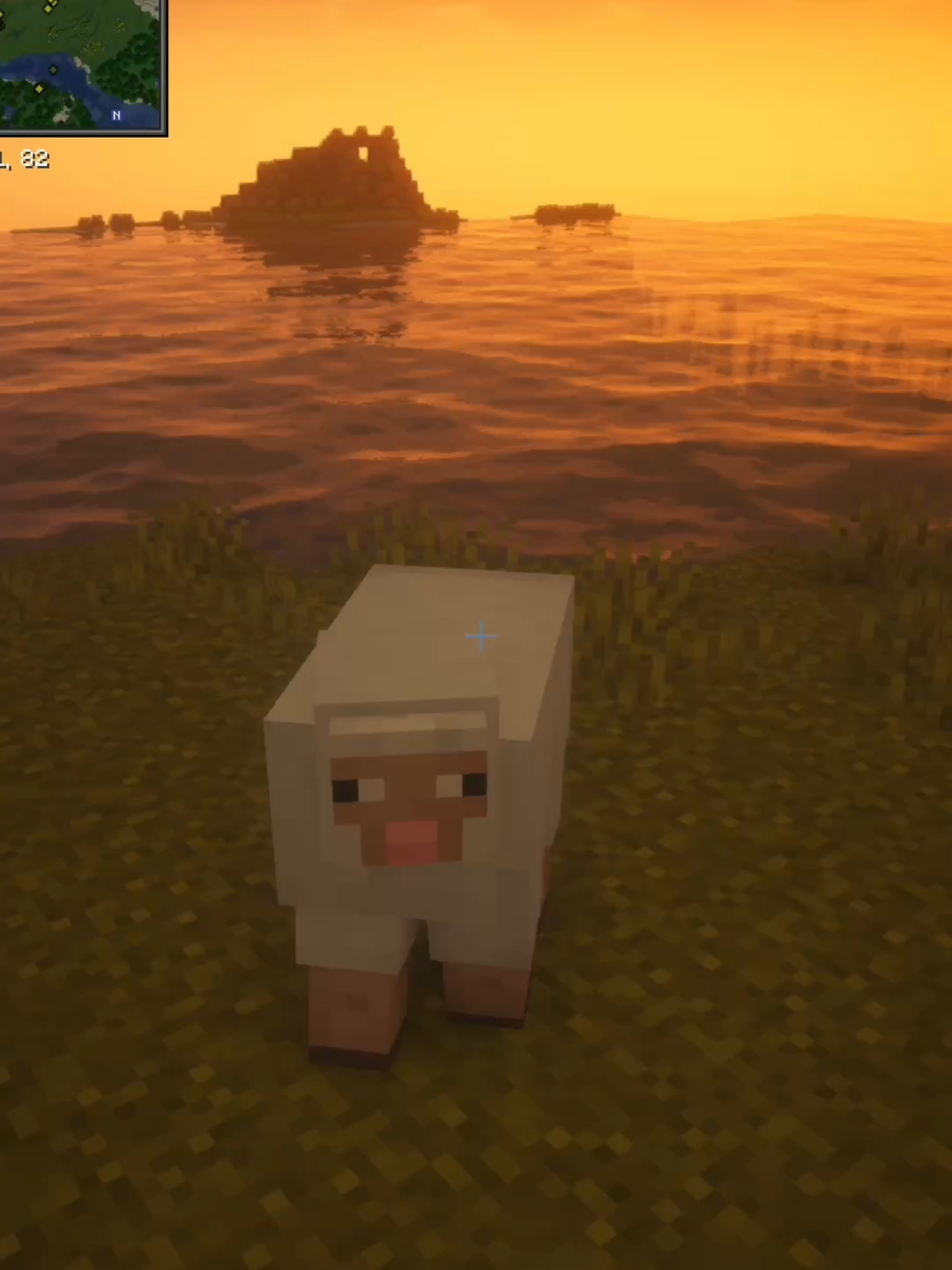 @squidservers