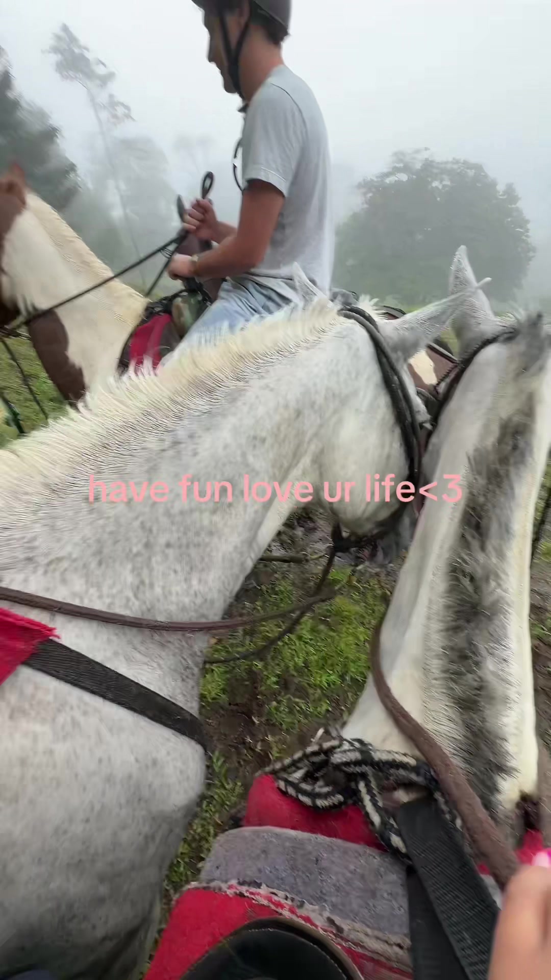 @shanaya