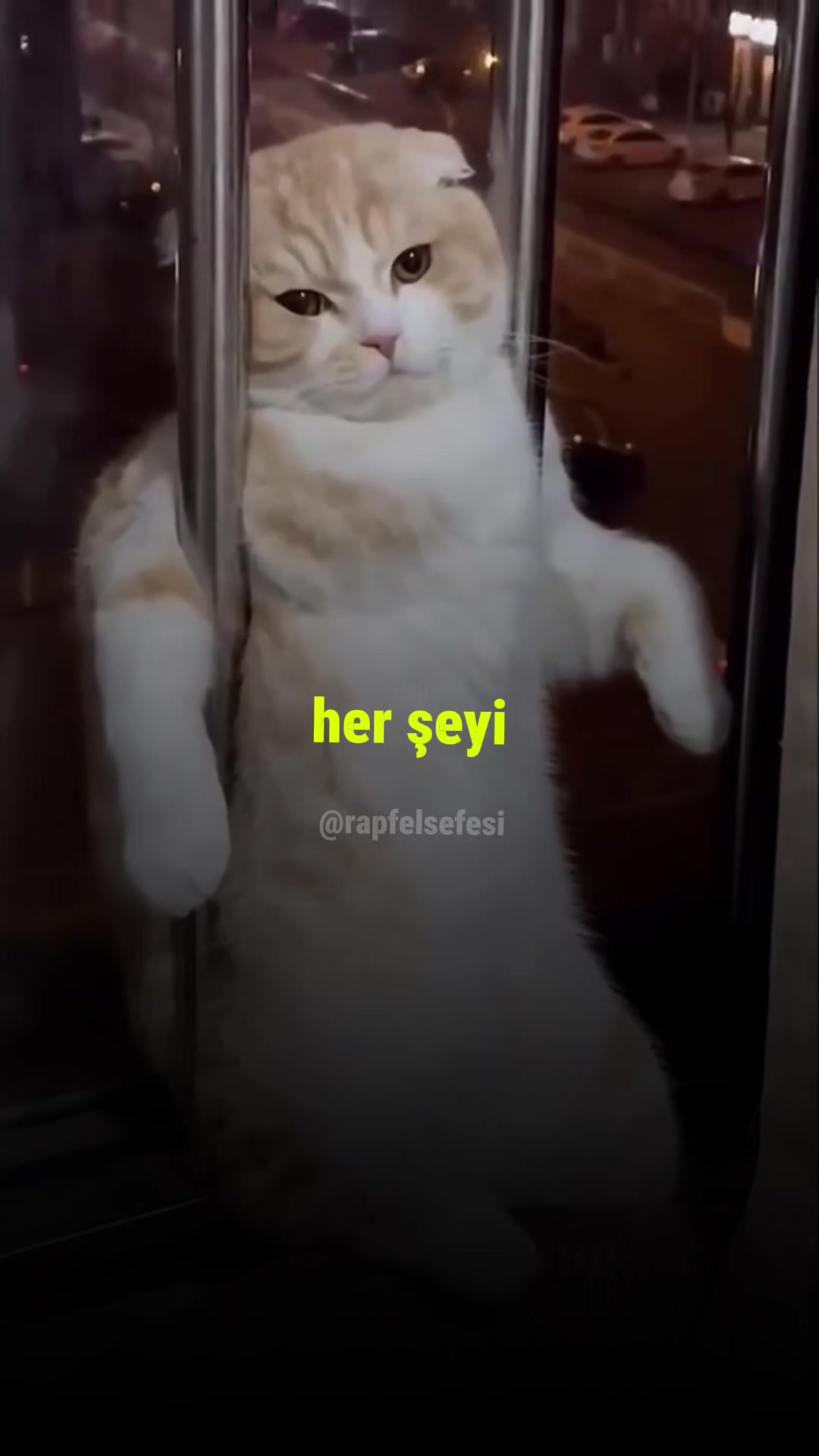 @Rapfelsefesi
