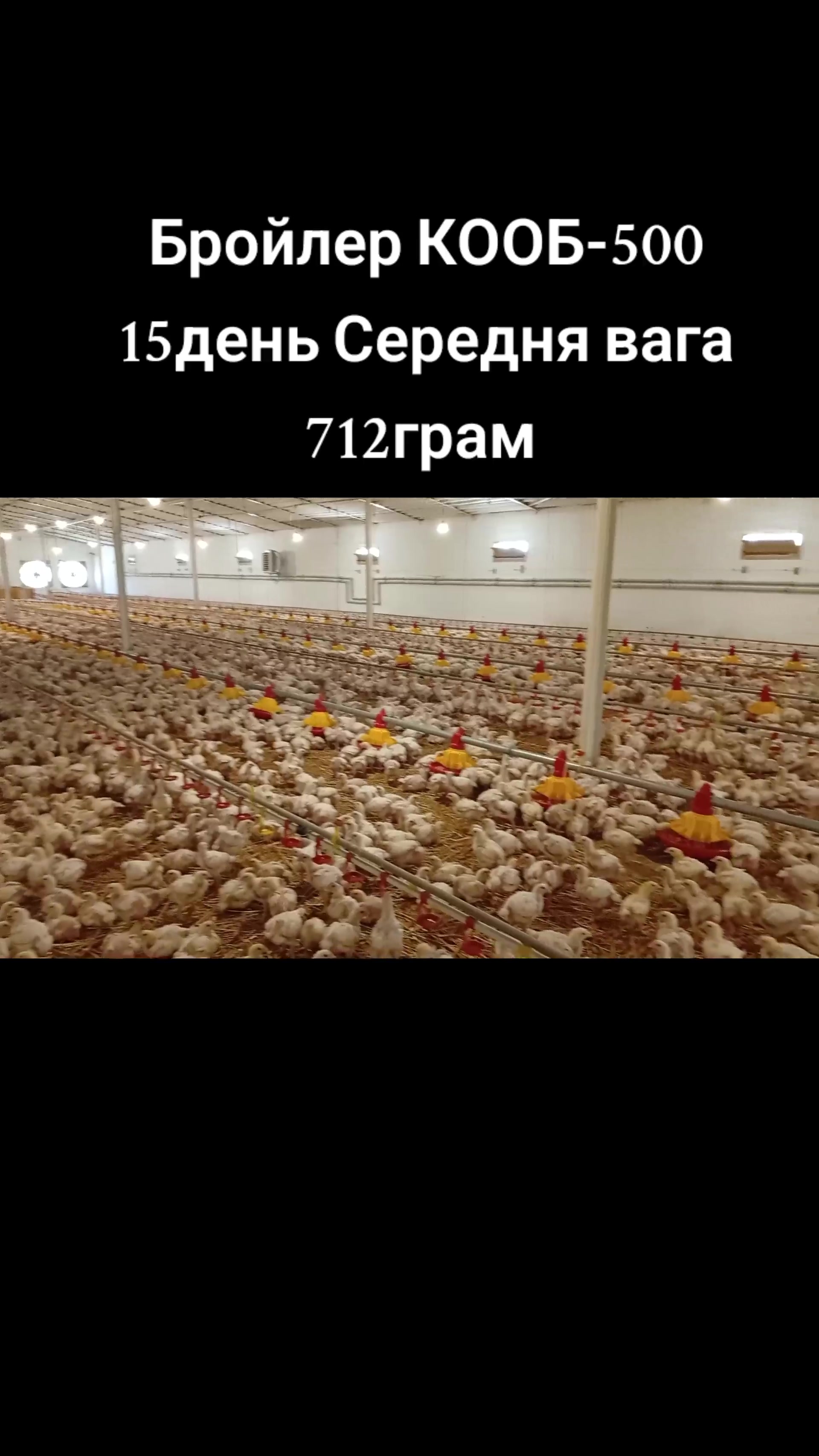 @ЧіКоФерма