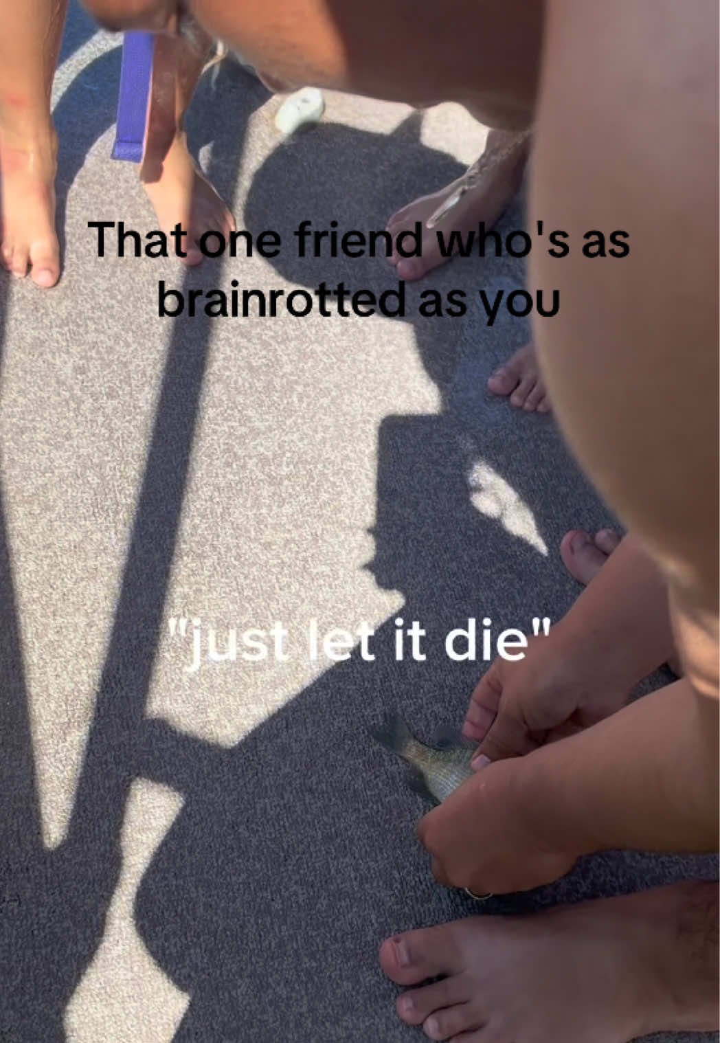 @neyna ˙ᵕ˙