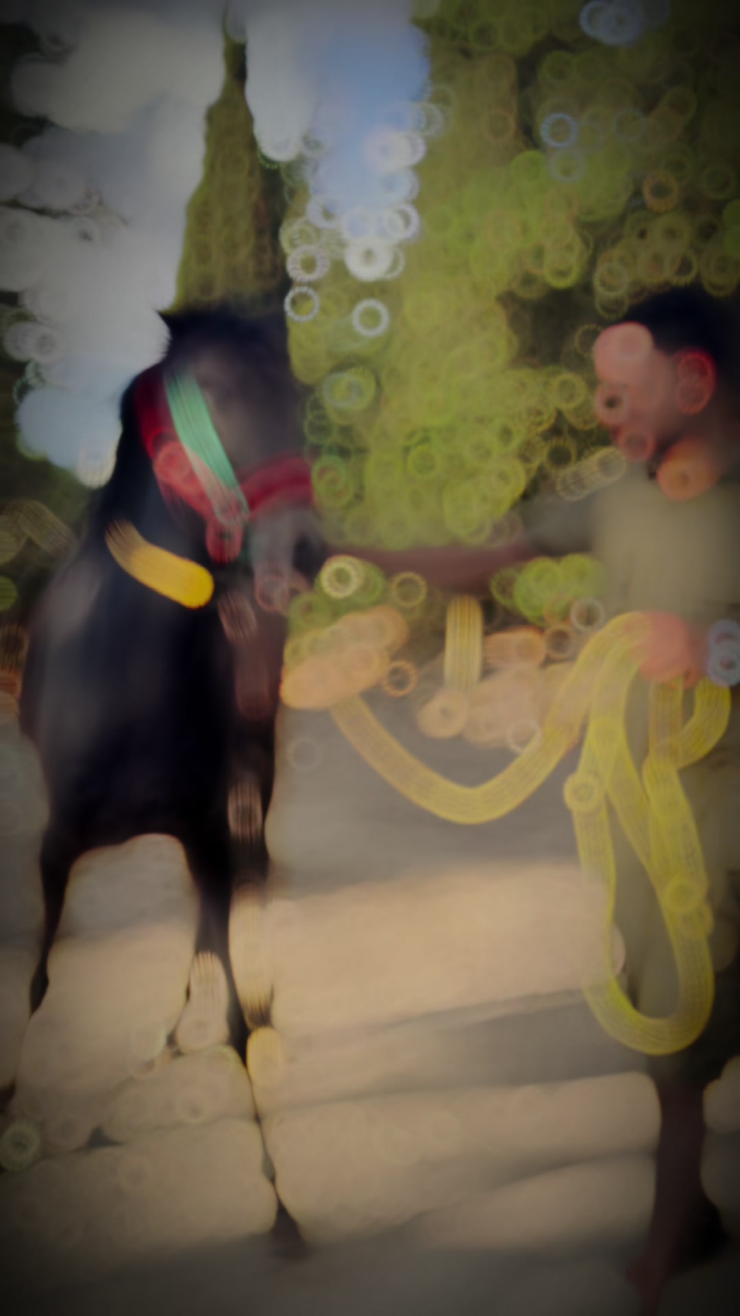 @القـُـّـِذِافـٌـٍِْيٰ ⁶⁹𓊿
