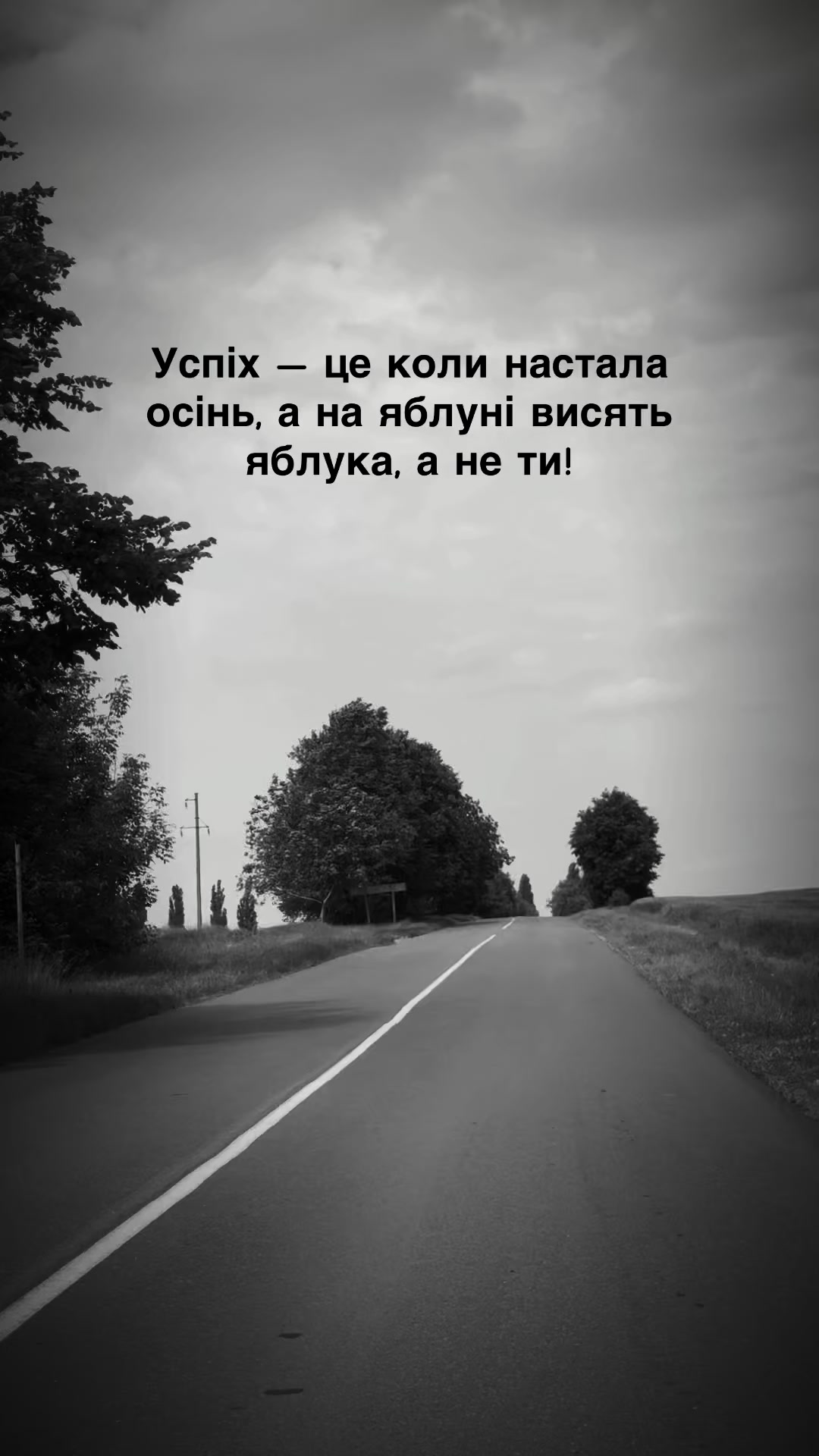 @Anastasiia🖤