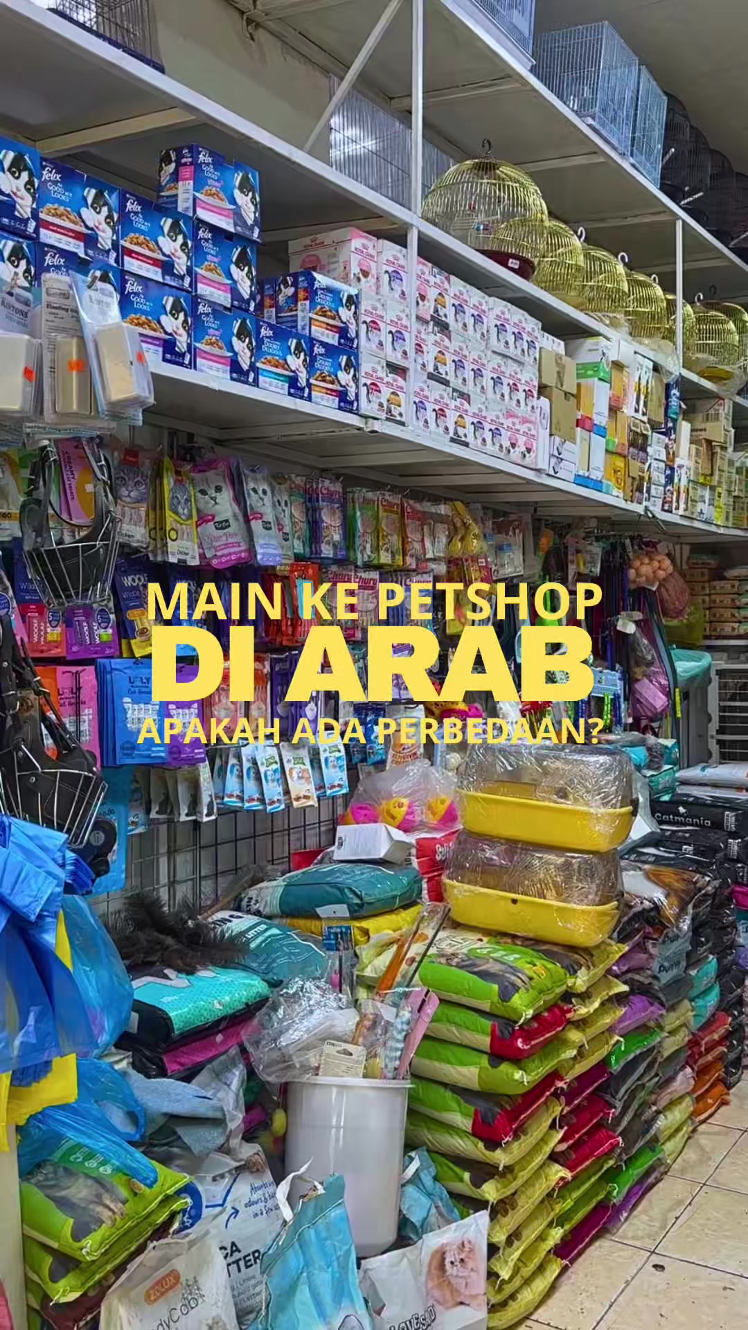 @bejo petmart