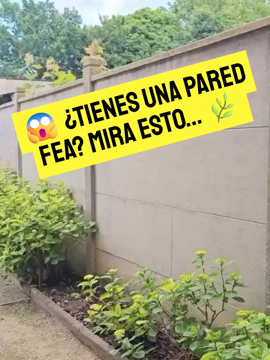@🪴TODO VERDE🌿