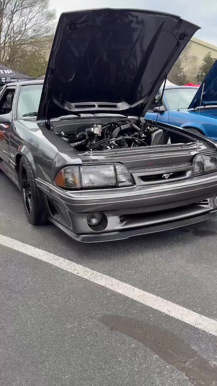 @TopTierMustang