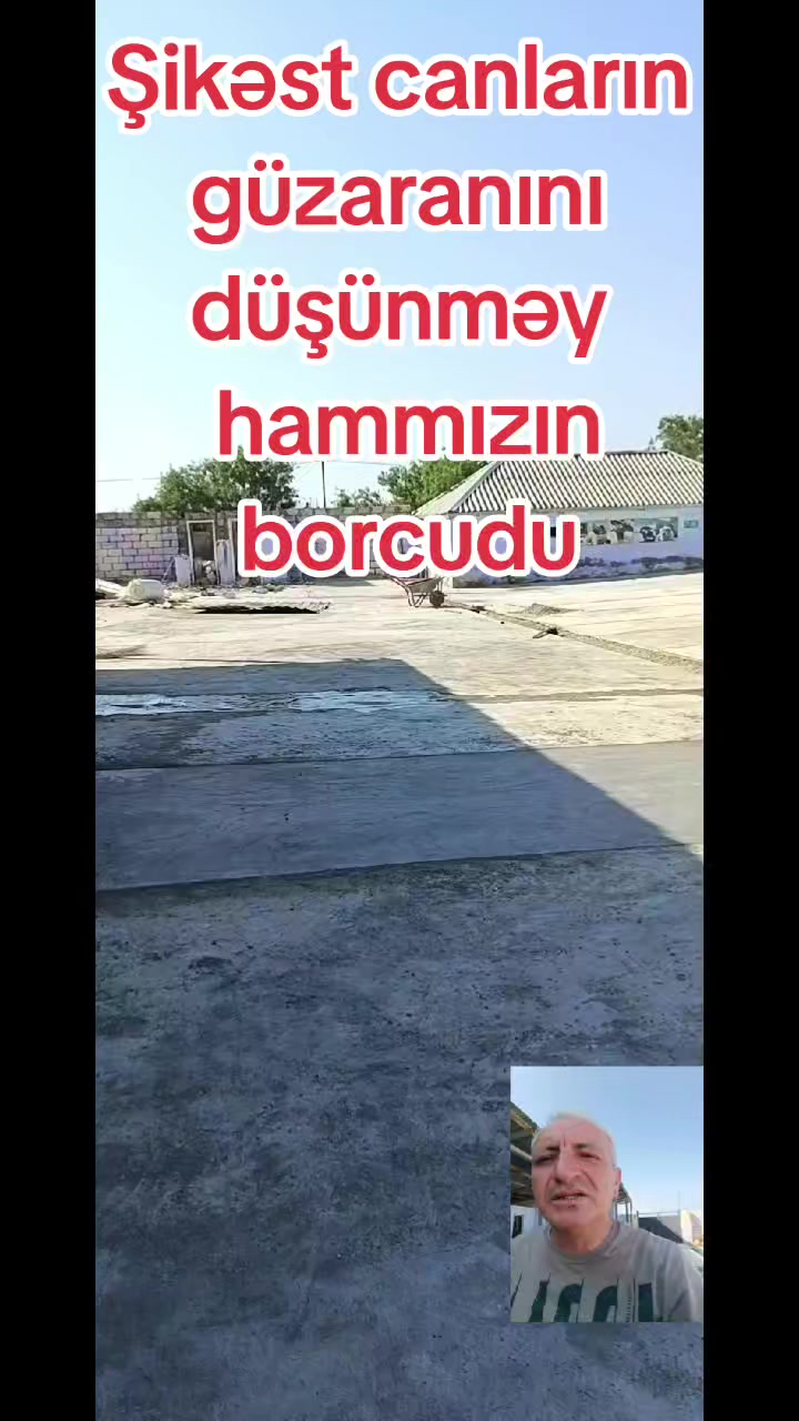 @Sahibsiz heyvanlara dəstək