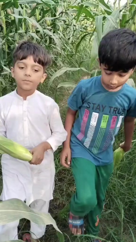@Zaheer Farooqi