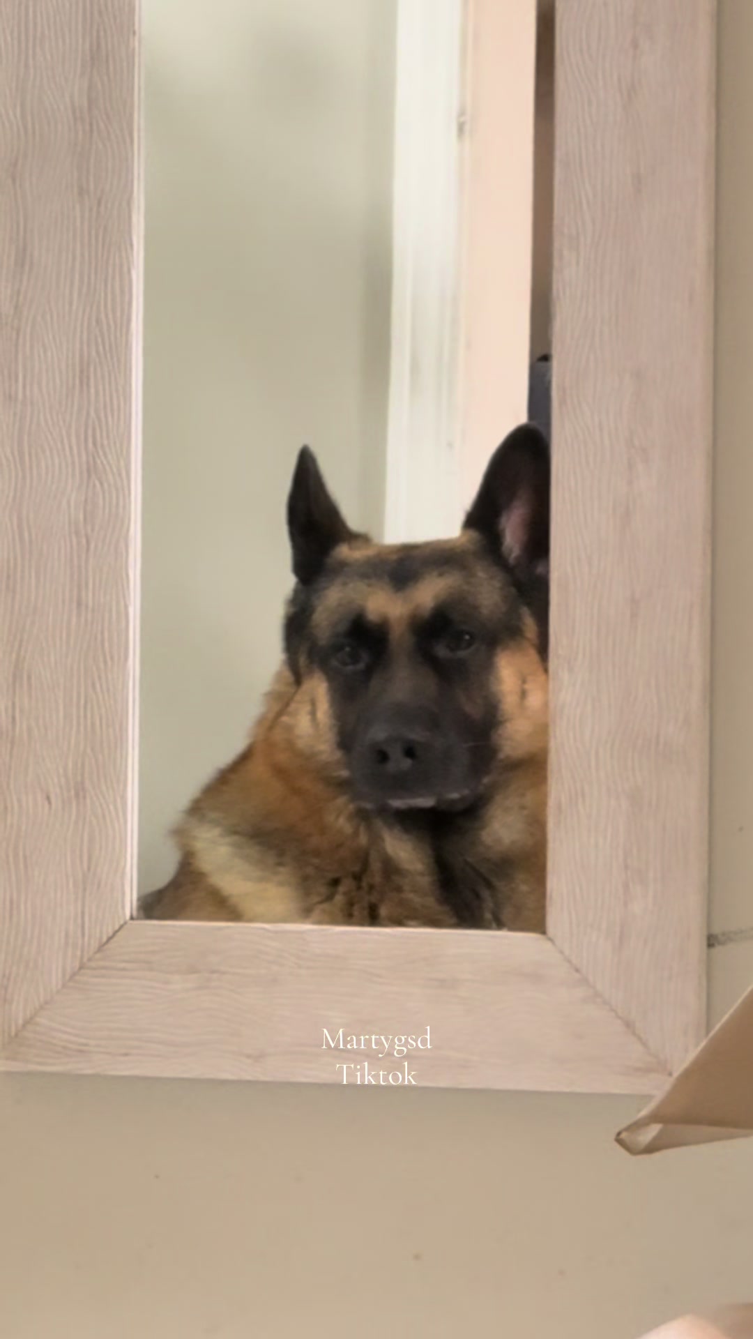 @Martygsd