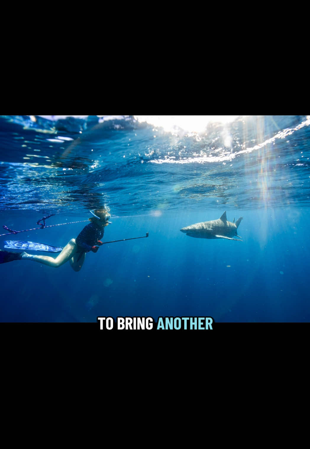 @Lauren Lopez | 🌊🏄♀️🦈