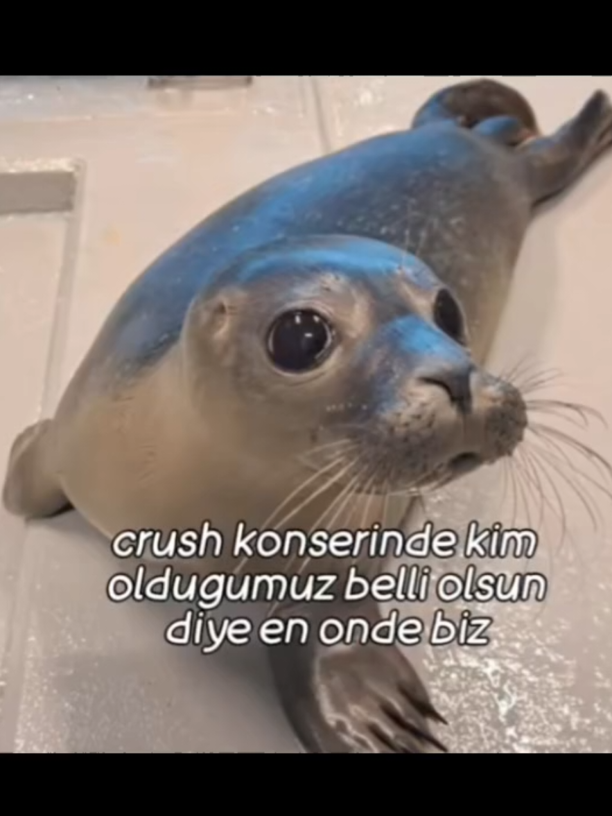 @ಇ &rsaquo; ϐ𝗈ꪀꪀ𝗂ᑲꫀℓ'