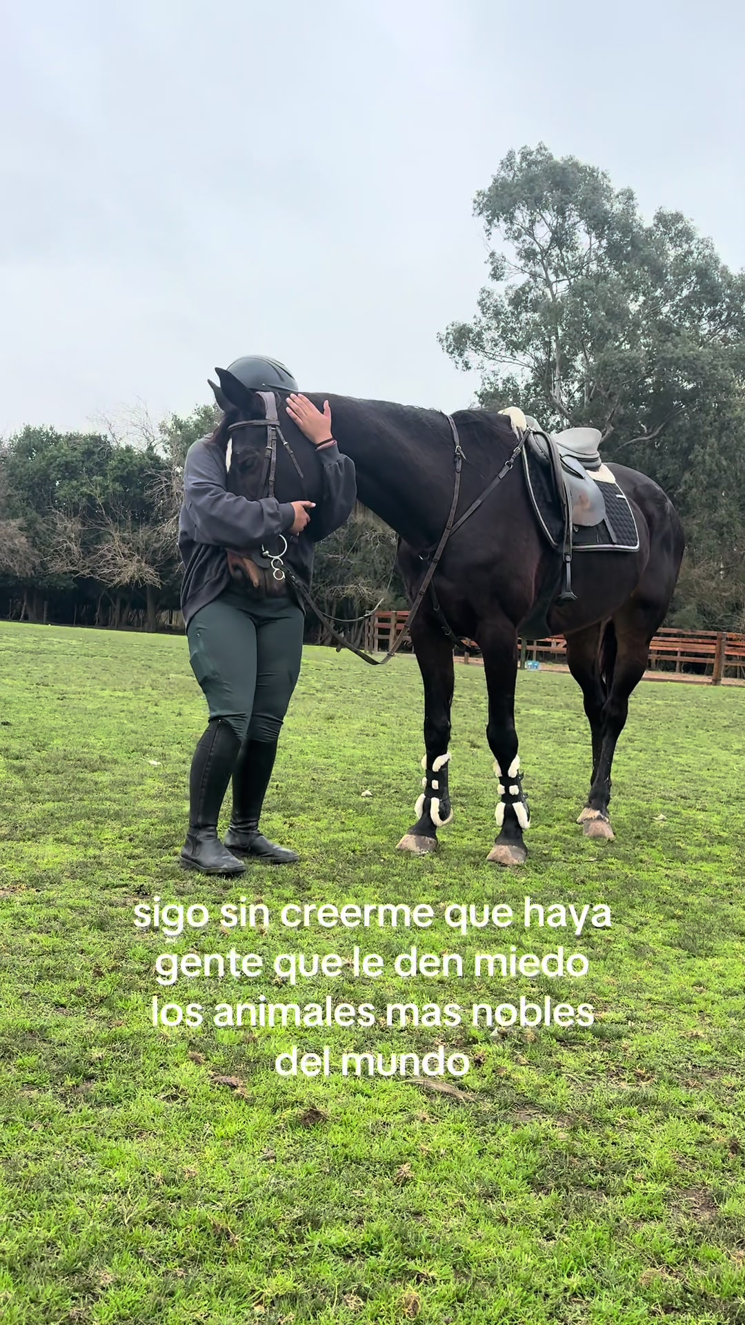 @lasjuanitas.equitacion