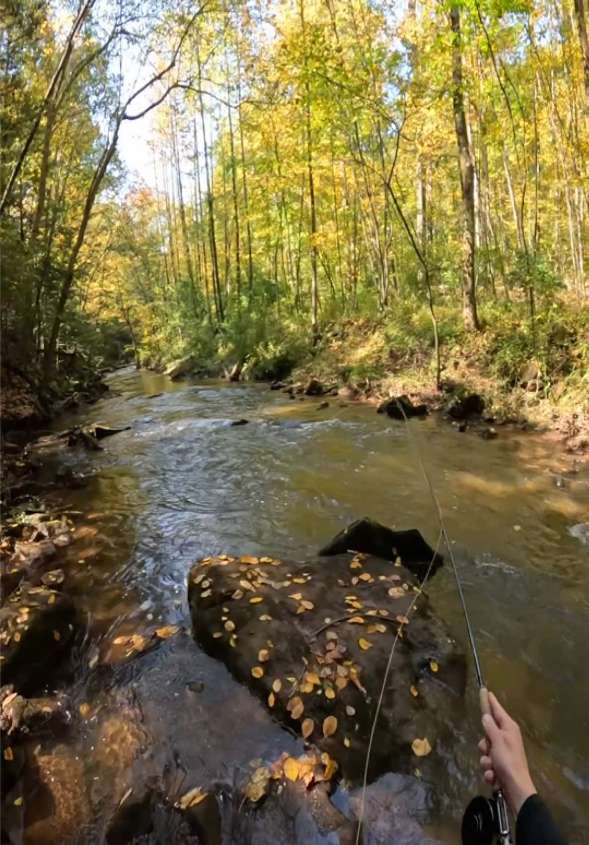 @FlyFishDelawhere