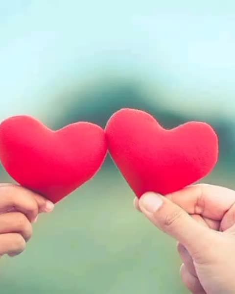 @Rabeeatmuhd31