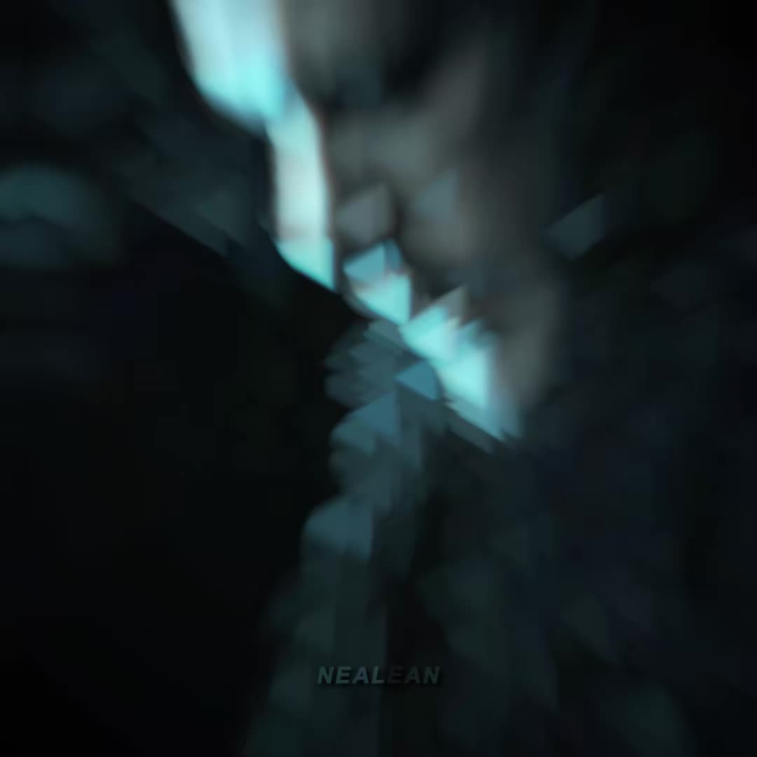 @nealean