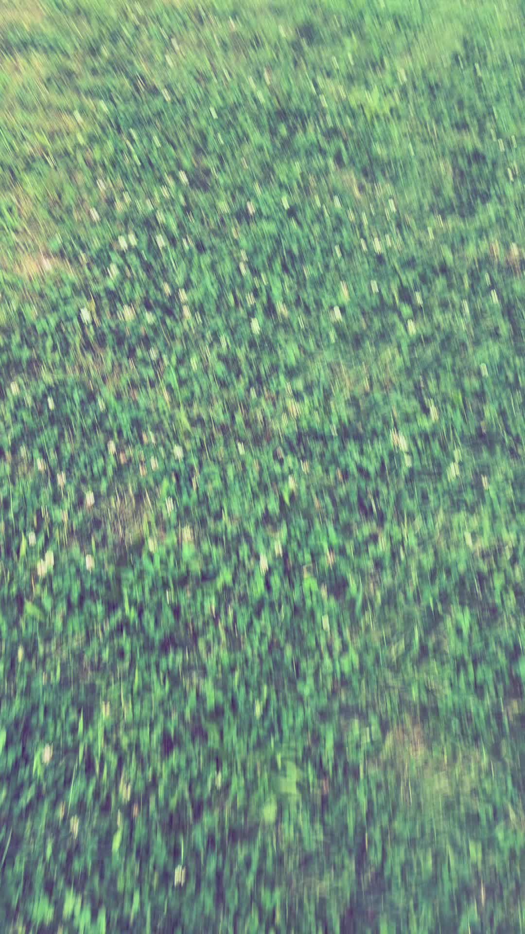 @…