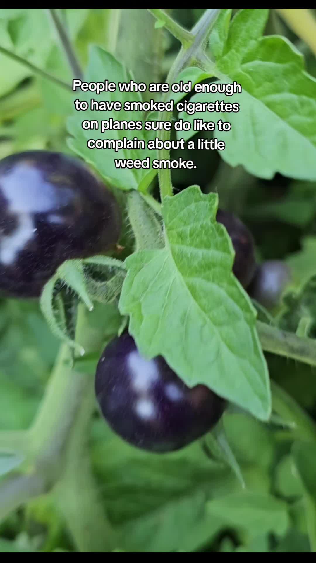 @Chef Liv Vasquez