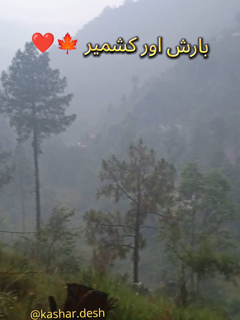@kashmir 🍁کاشر دیش