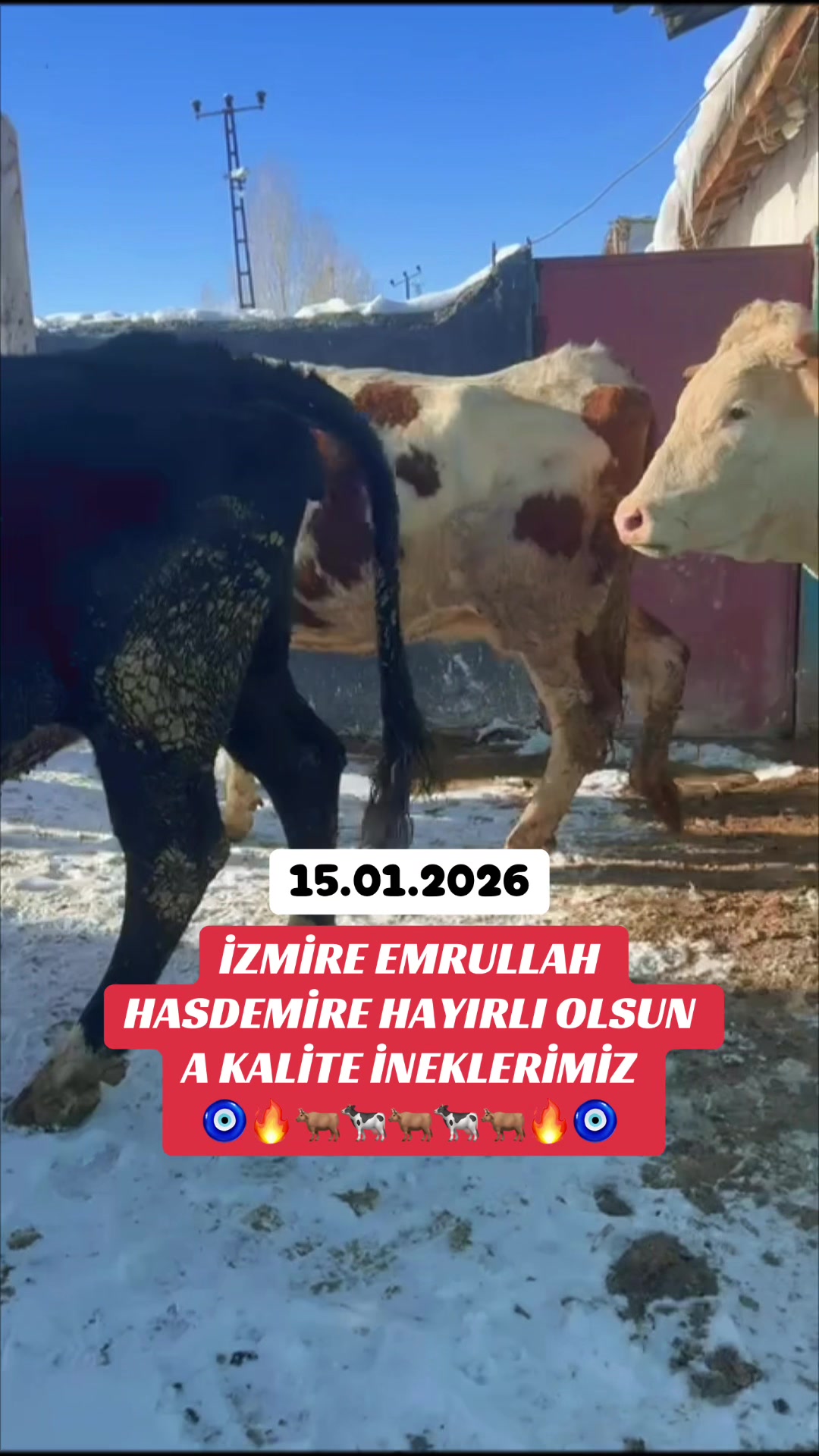 @Erhan Hasdemir