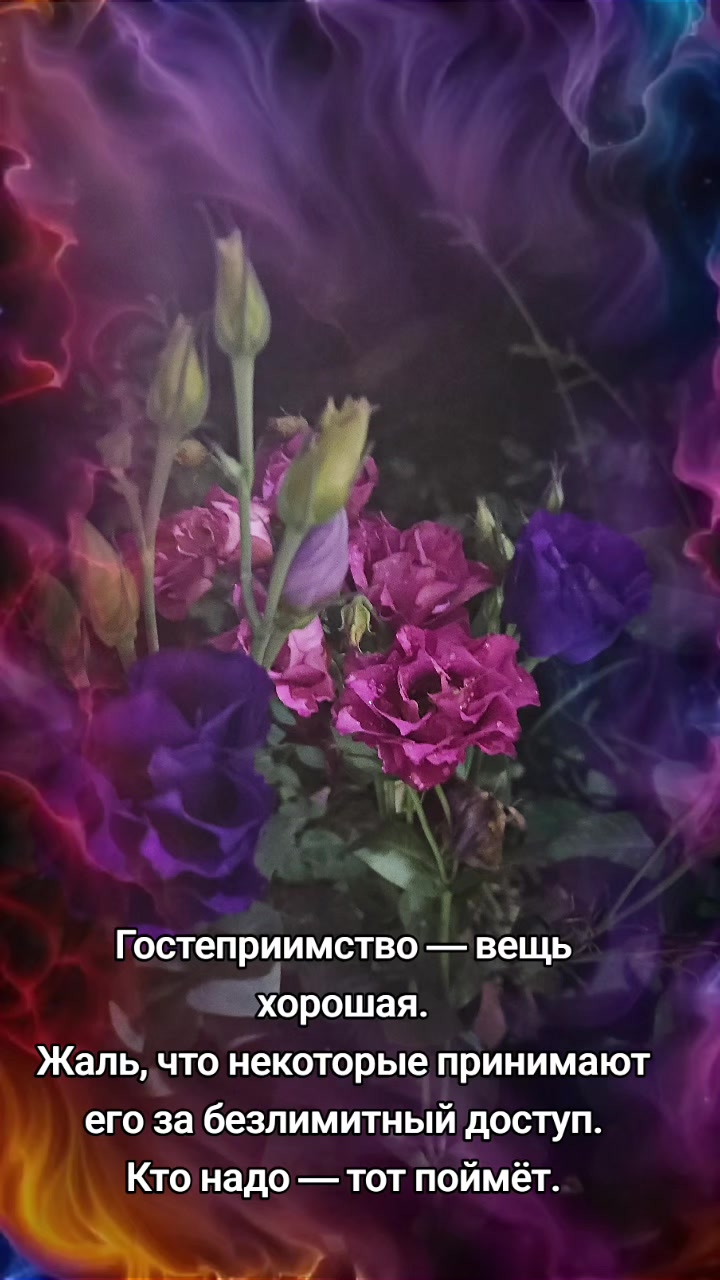 @✨Anastasia ✨