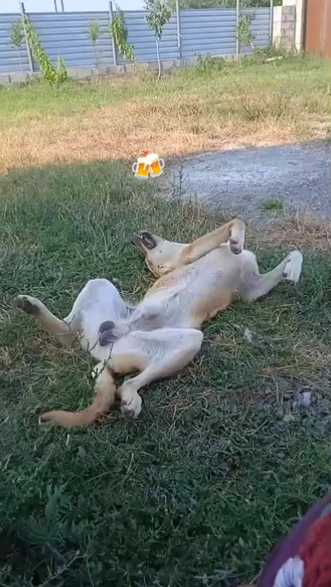 @Qeys_059