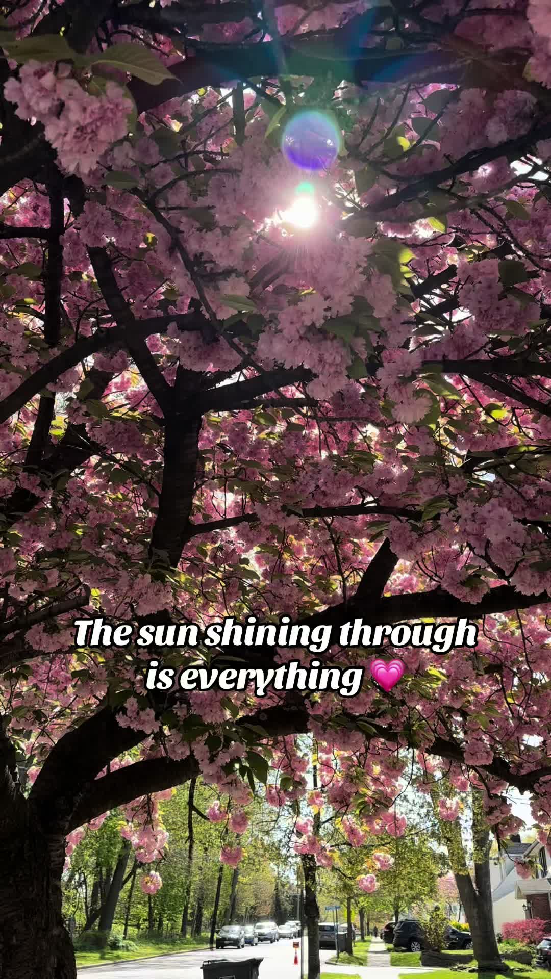 @kristushh3