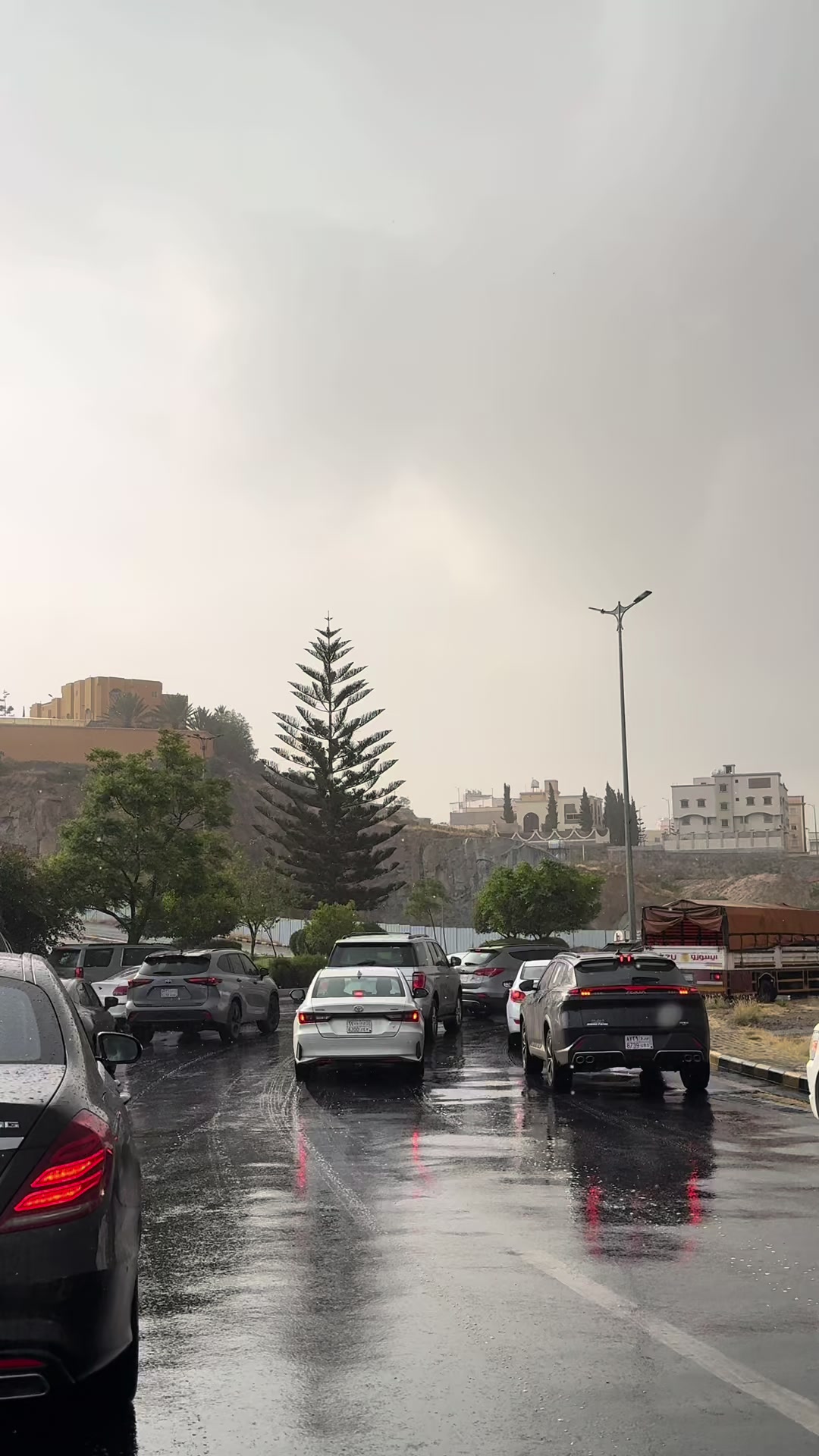 @امل الشهري | أم بندر وتركي 📸