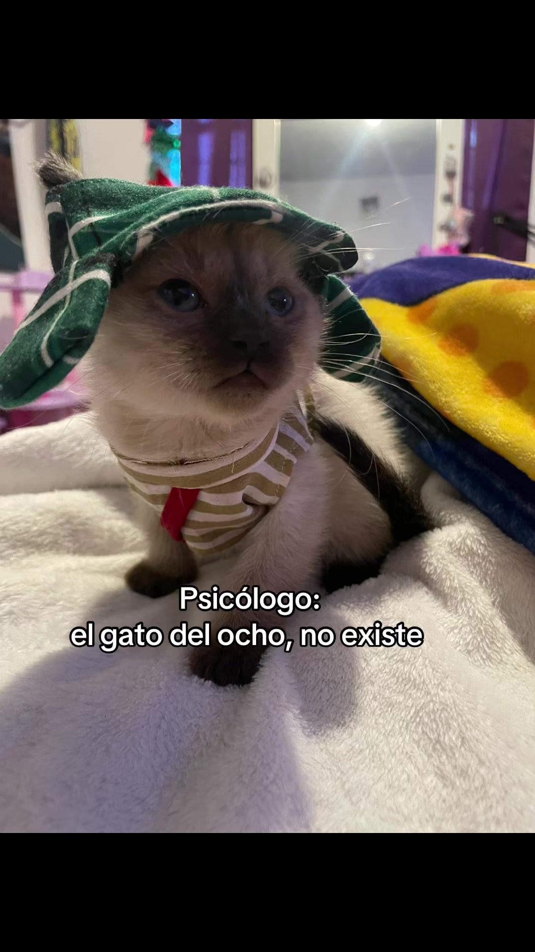 @Abby Zulema