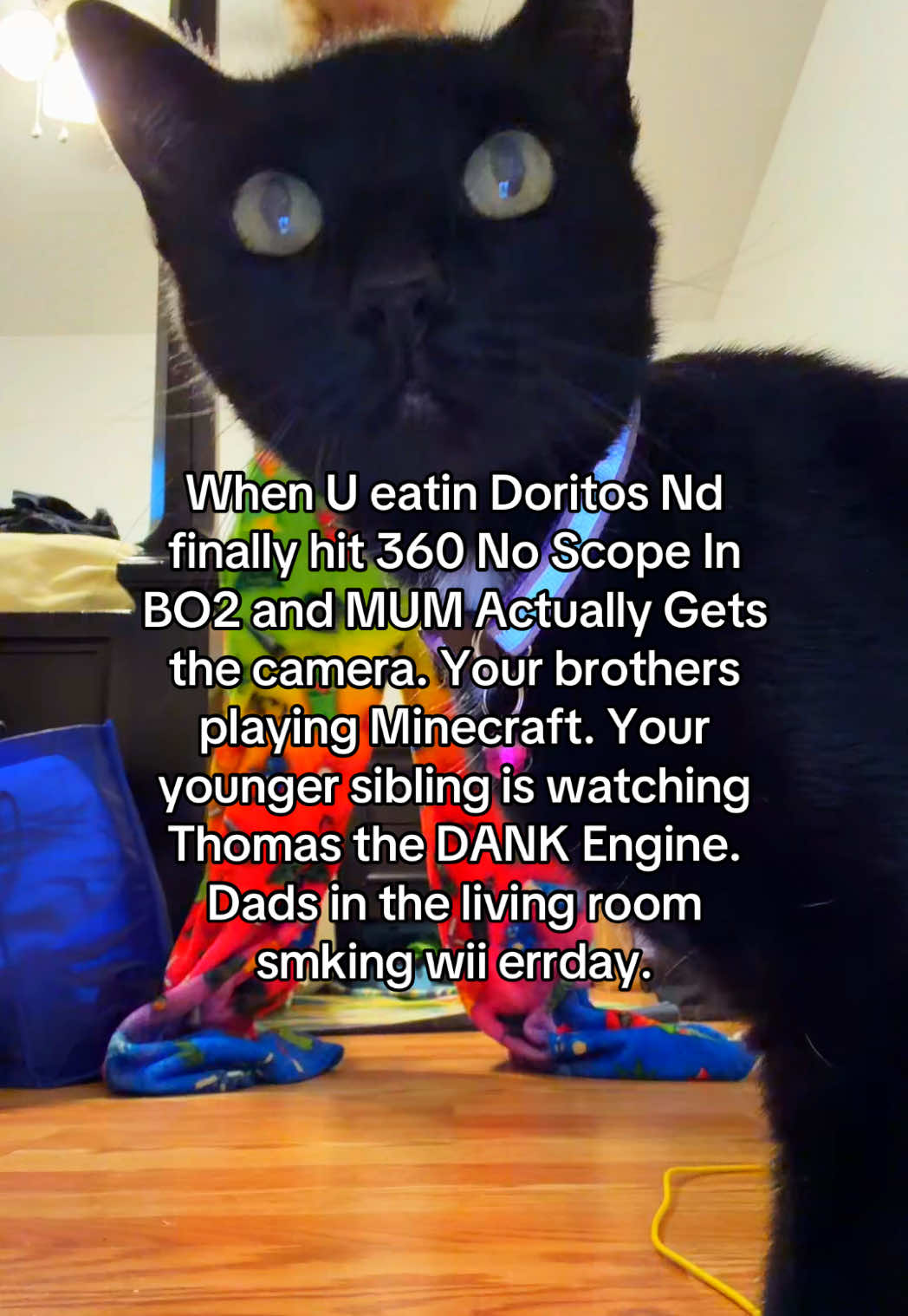 @thestupidugly