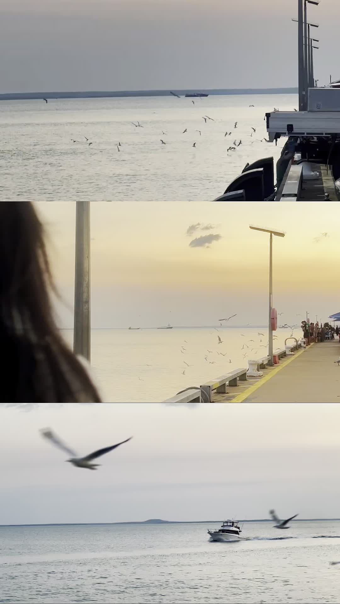 @Arsylt