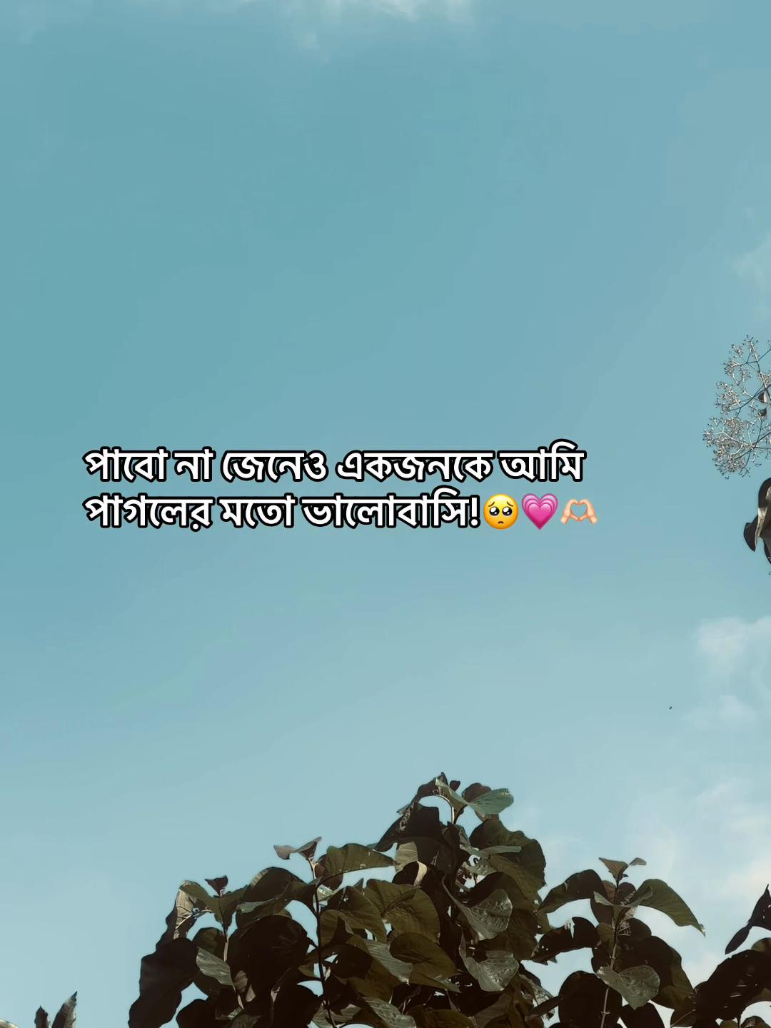 @𝗔𝘇𝗶𝘇𝘂𝗹_🧃🌷