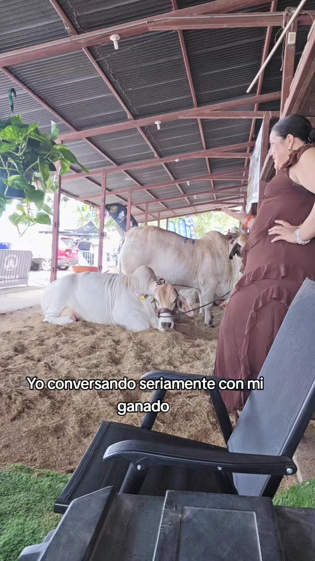 @Soy Lan 🇨🇷
