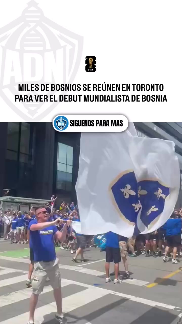 @Sporttintos