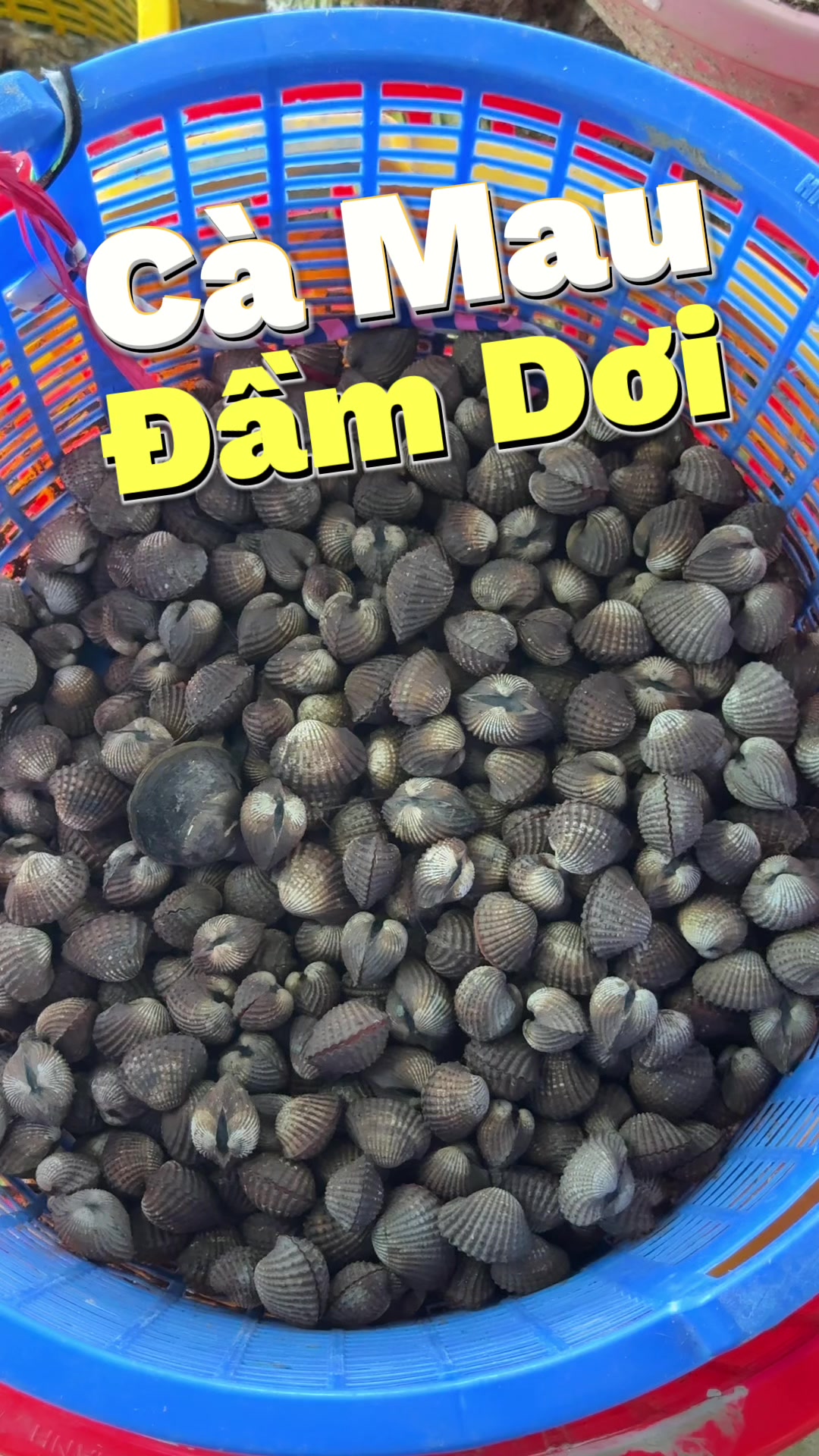 @B&eacute; Rồng ♈️
