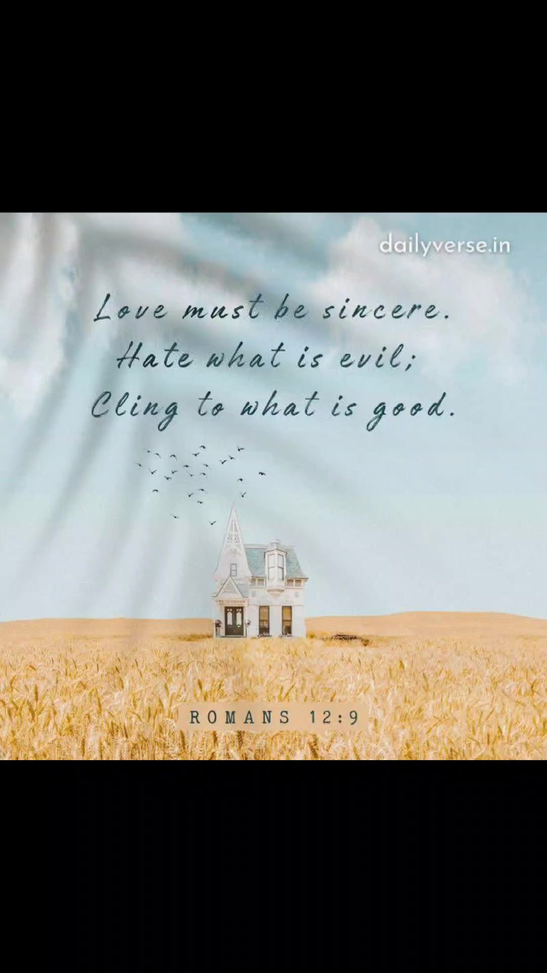 @✝️🤍Joy✝️🤍