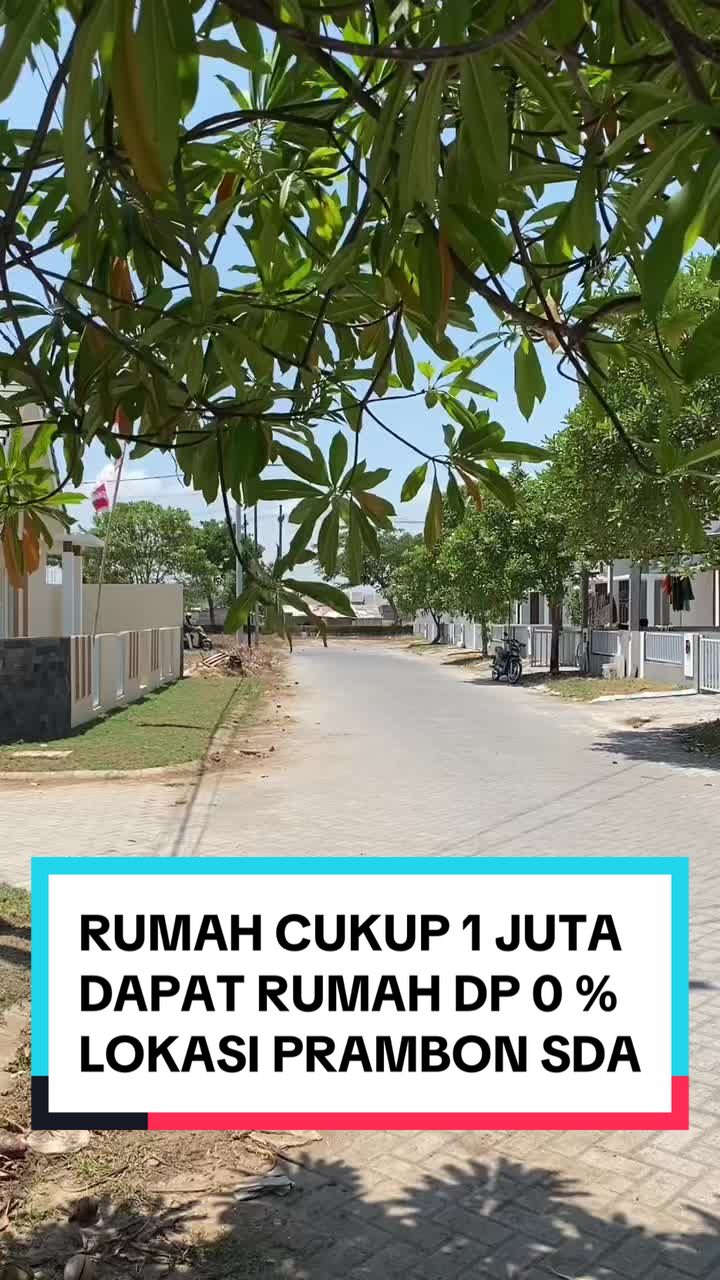 @MISTER TANPA DP